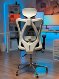 Pro-Line Ergonomic Chair – Medical Grade Support
